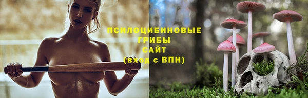 ГАЛЛЮЦИНОГЕННЫЕ ГРИБЫ Всеволожск