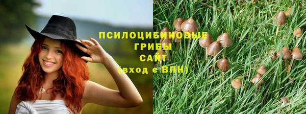 СК Михайловка
