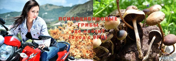 молекула духа Нефтекумск