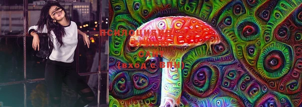 спайс Нея