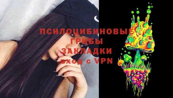 молекула духа Нефтекумск