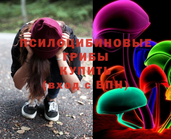 ПСИЛОЦИБИНОВЫЕ ГРИБЫ Нефтегорск