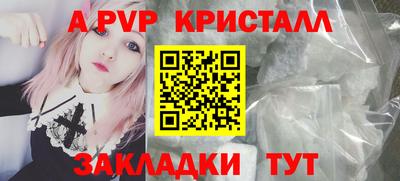 тгк Кингисепп