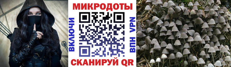 Псилоцибиновые грибы ЛСД  что такое наркотик  кракен ТОР  Кизилюрт 