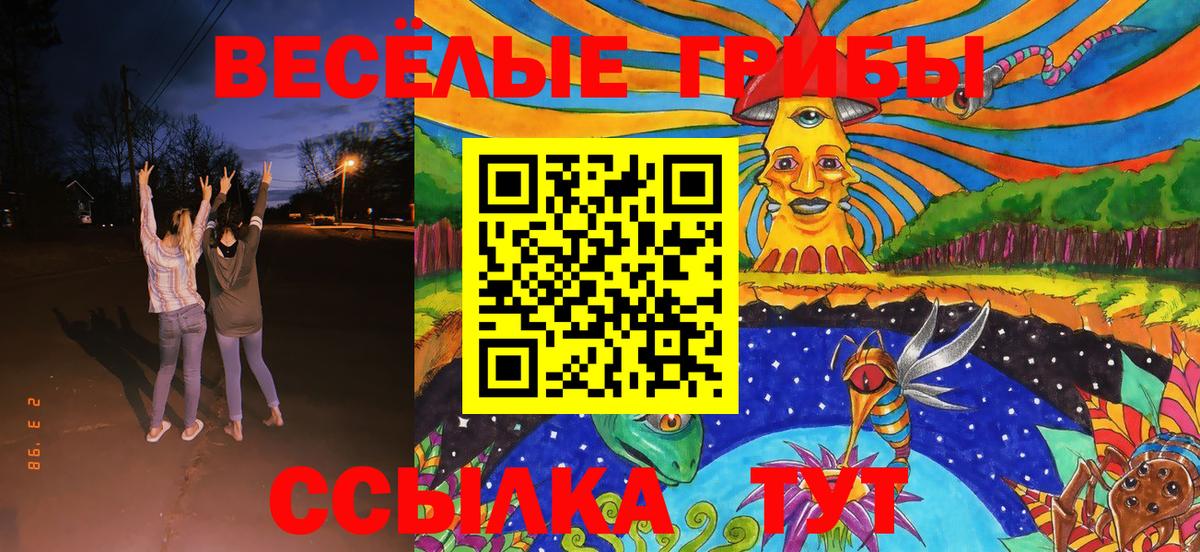 Галлюциногенные грибы Magic Shrooms Кизилюрт