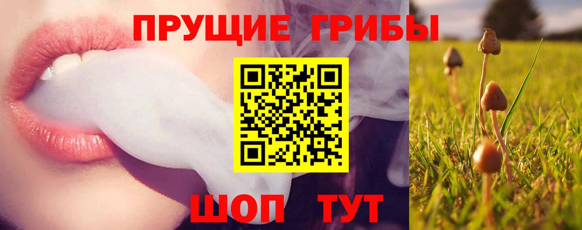 Псилоцибиновые грибы MAGIC MUSHROOMS  Галлюциногенные грибы Psilocybe  Кизилюрт  Вход с VPN 